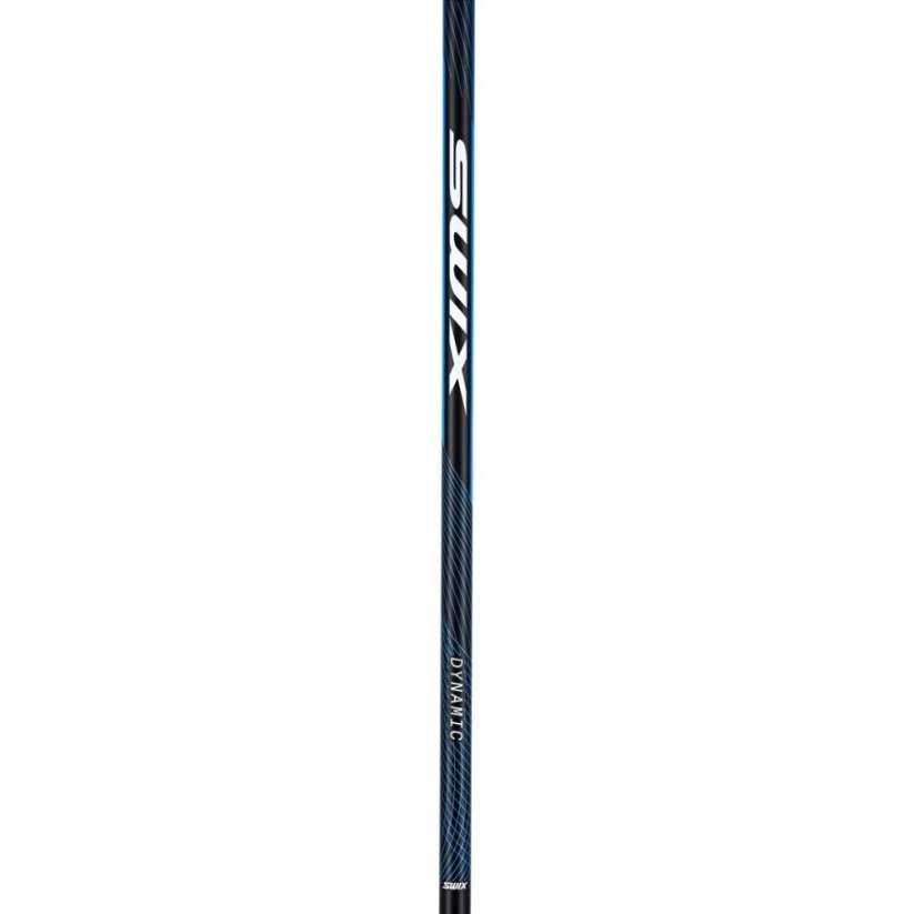 Swix hole Dynamic D2