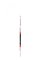 Madshus Redline Carbon Jr. Classic 160 cm